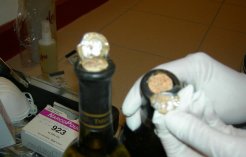 FOTO_03
W:246
H:157
9 kb