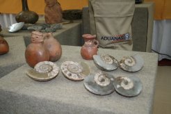 FOTO_07
W:246
H:164
10 kb