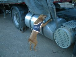 FOTO_04
W:245
H:184
12 kb