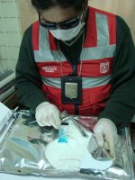 FOTO_04
W:150
H:200
10 kb