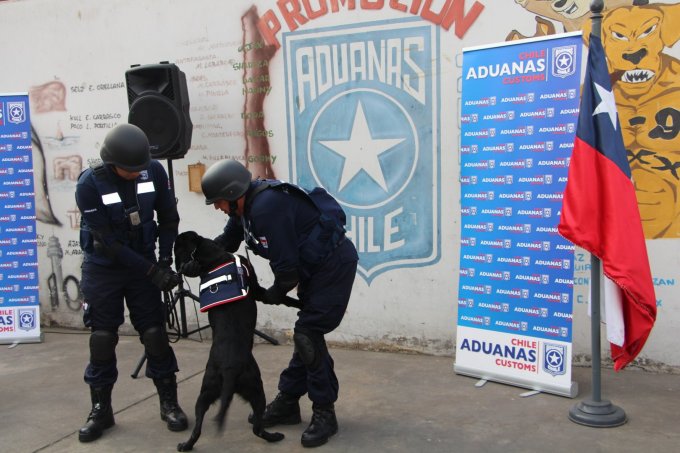  Imágen 9 - Galería