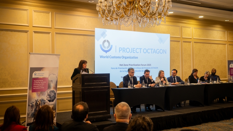  Imágen 7 - Galería