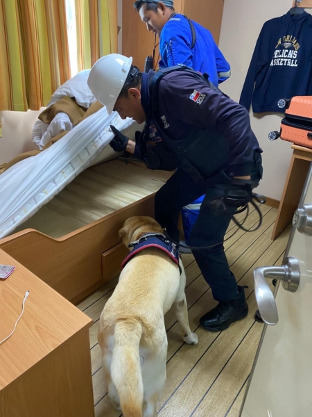  Imágen 6 - Galería