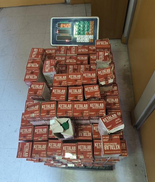  Imágen 1 - Galería