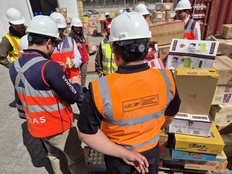  Imágen 11 - Galería