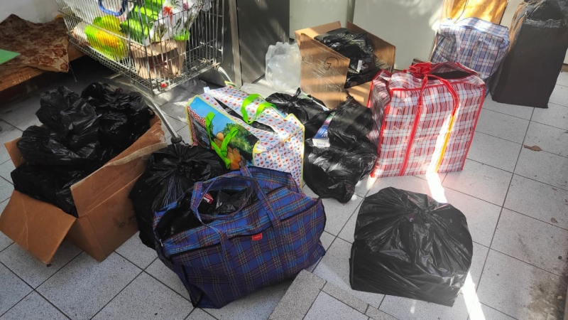  Imágen 3 - Galería