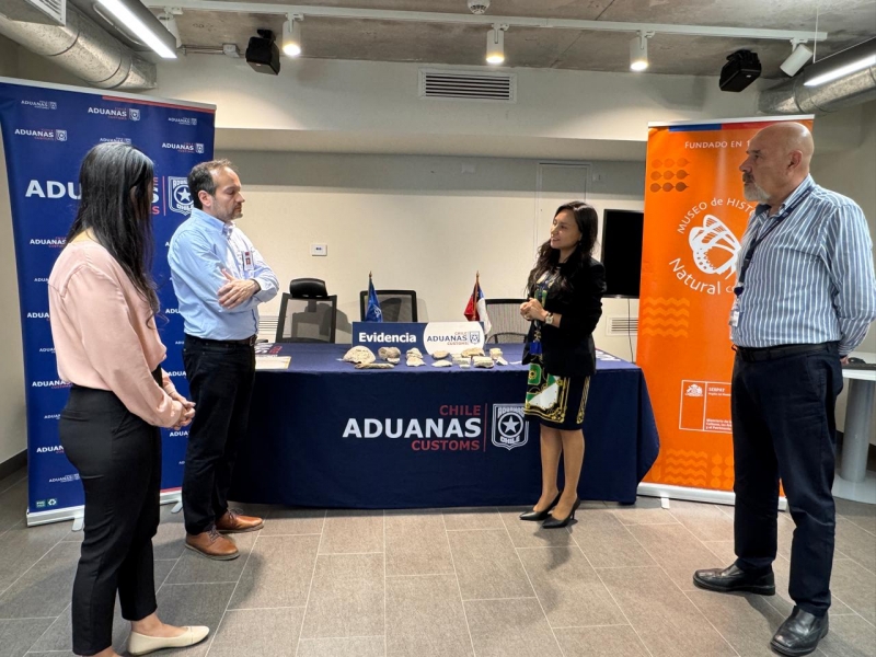  Imágen 3 - Galería